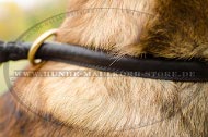 Leather Round Choke Collar for Shepherd Training