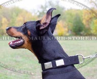 Hundehalsband mit Chunks für Dobermann, Nylon mit Platten