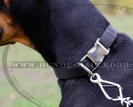 Hundehalsband mit Schnellverschluss für Doberman