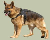 German Shepherd Nylon multi-purpose dog harness