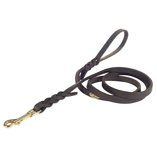 Handcrafted leather dog leash
