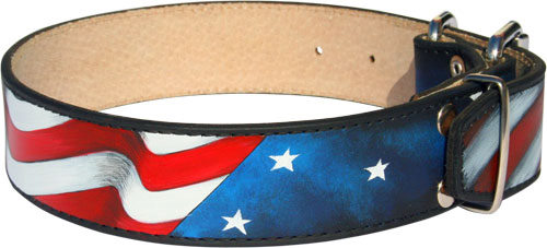 Leather Collar for Dogs Like Doberman in USA Style 