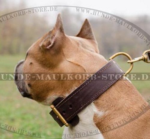 Amstaff dickes Lederhalsband