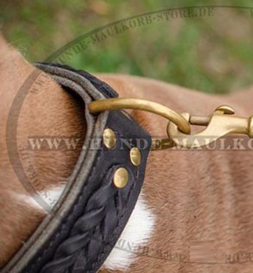 Originelles Leder Halsband geflochten für Amstaff