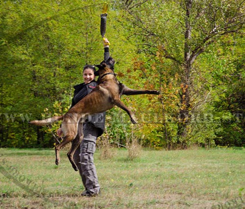 Beißen-Spielzeug für Training des Schaeferhundes - Malinois!