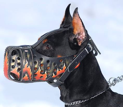 Hand painted leather dog muzzle Flame