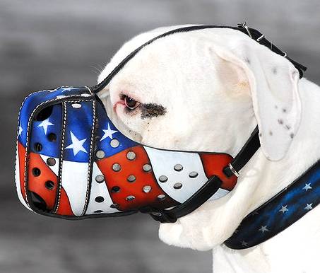 Bemalter Hundemaulkorb "American Pride" M77 - zum Schließen ins Bild klicken