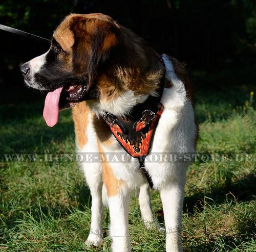 Bemaltes Hundegeschirr für Moskauern Wachhund
