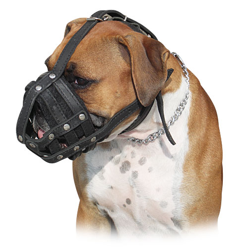 Leather Muzzle for Boxer