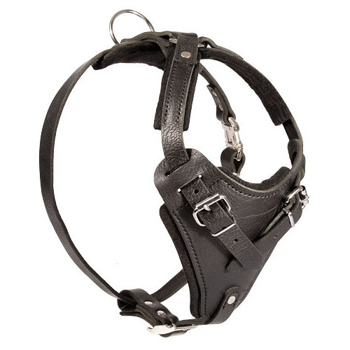 American Bulldog Harness, Leather