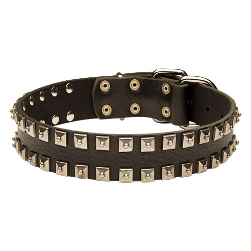 hundehalsband leder