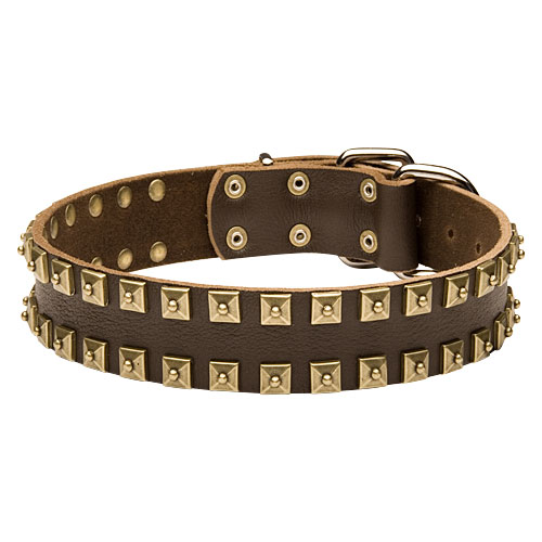 hundehalsband leder