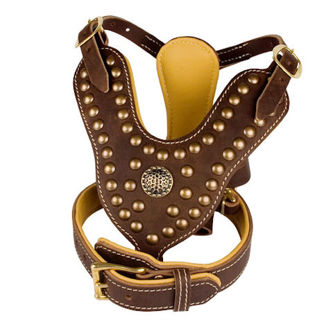 Royal set DE - padded studded harness plus padded dog collar