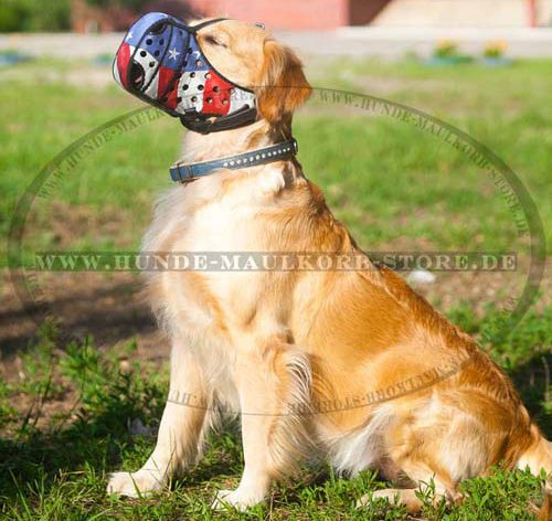 Retriever leather muzzle design