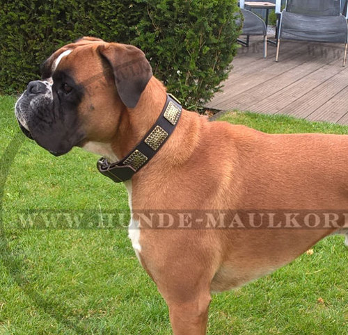 Deutscher Boxer Luxus Hundehalsband aus Leder
