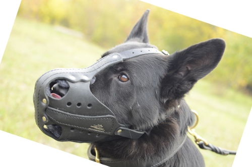 Maulkorb Leder Deutscher Schaeferhund