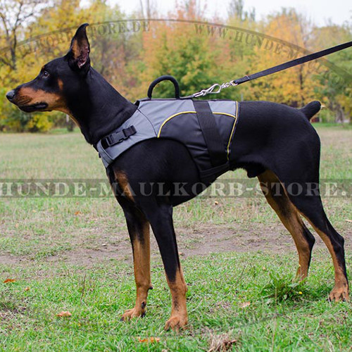 Dobermann Hundegeschirr Warm | Tragegeschirr für Dobie ☔