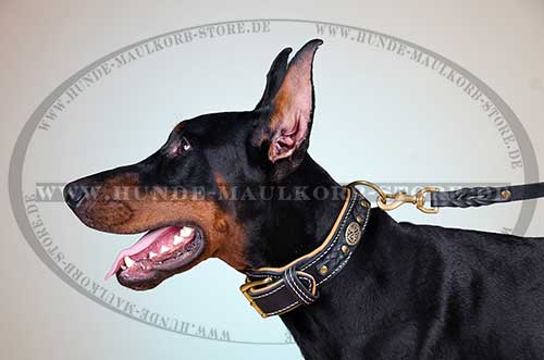 Doberman Dog Collar Wide 