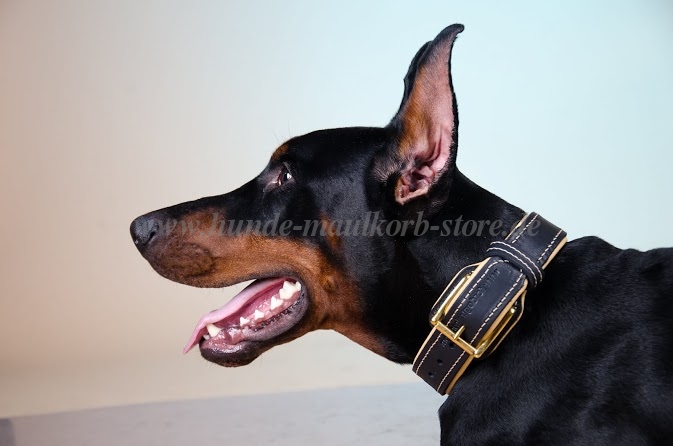 Dobermann Hunde Halsband mit Nappa Innen, Breites Lederhalsband