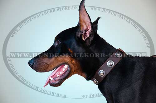 Studded Collar with Conchas, Doberman Dog Leather Collar 