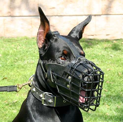 Wire Muzzle for Doberman | Fully Padded Muzzle