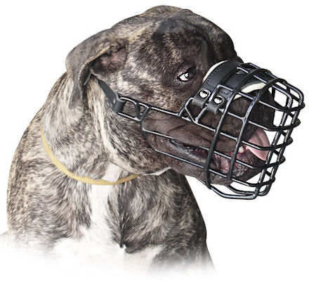 wire basket dog muzzle for Bullmastiff