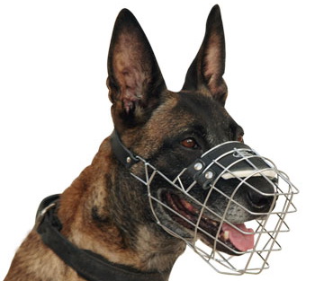 Wire Malinois Muzzle