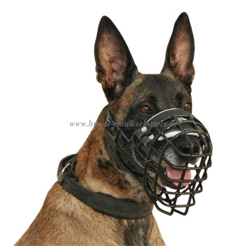 Belgian Malinois Wire Basket Dog Muzzle, covered by black ruber