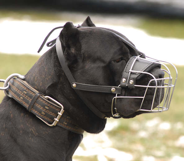 Drahtmaulkorb für Cane Corso, Beißkorb aus Draht ❺❺❺❺