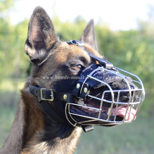 Bestseller Drahtmaulkorb für Belgischen Malinois! Super Design!