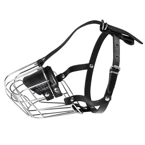 Wire dog muzzle for Jack Russell Terrier