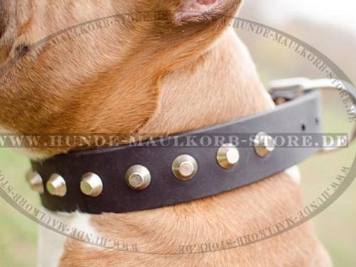 Amstaff erstaunliches Lederhalsband mit Pyramiden