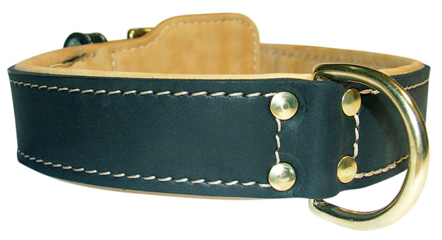 Exclusive Leather Dog Collar, Designer Dog Collar with Nappa 