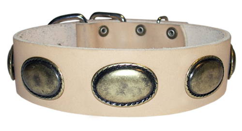 leder hundehalsband