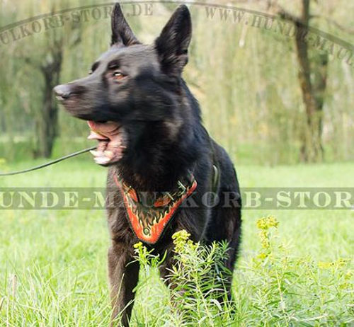 Deutscher Schäferhund geschicktes Leder Geschirr