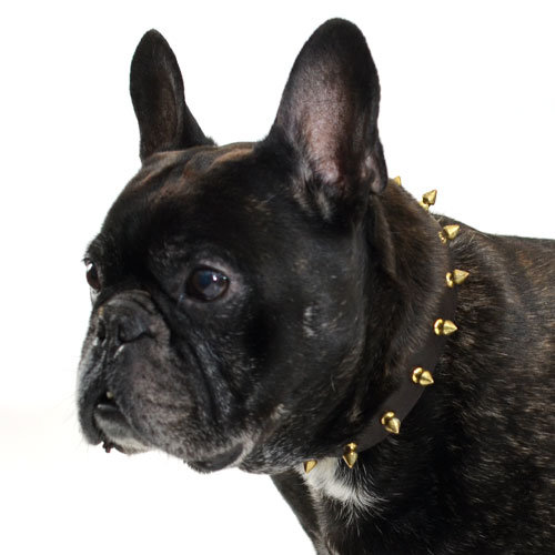 Dog Collar for Fr. Bulldog, Leather Collar with Spikes 