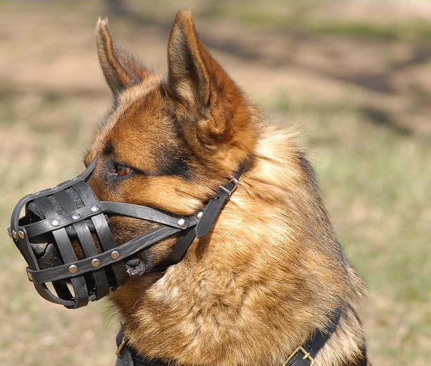 Muzzle for German Shepherd, Leather Dog Muzzle Padded