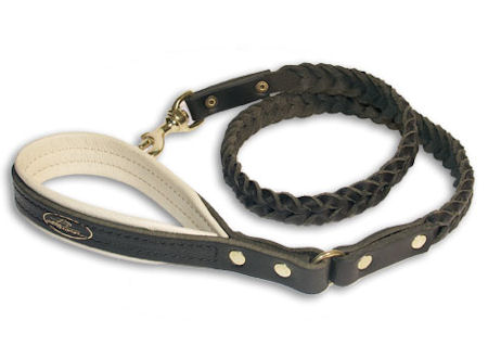 leather dog leash