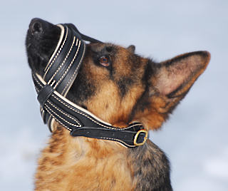 Black leather dog muzzle Nappa padded