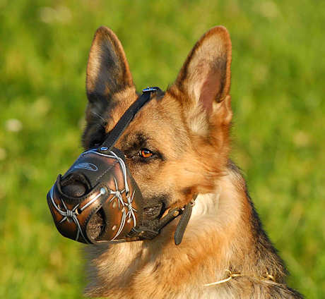 Leather painted dog muzzle for German Shepherd
