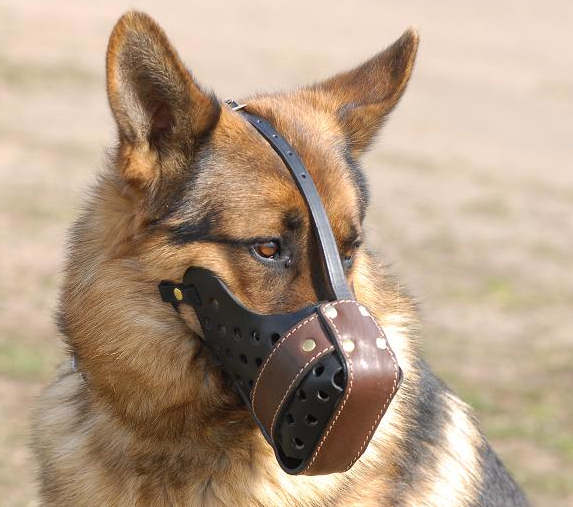 Deutscher Schäferhund Hundemaulkorb aus Leder "Dondi plus" - zum Schließen ins Bild klicken
