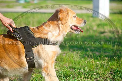 Hundegeschirr Nylon | K9 Geschirr für Golden Retriever