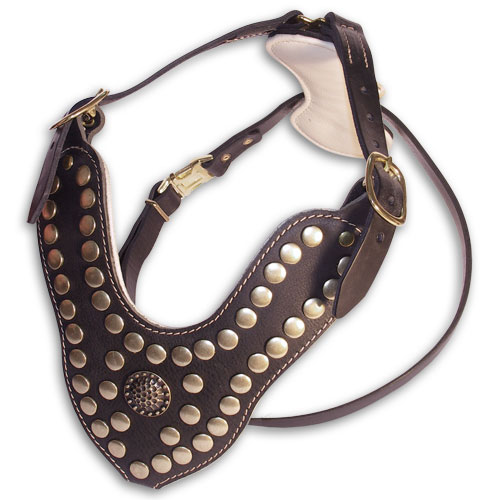 Leather Dog Harness with Studs | High-Quality Dog Harness