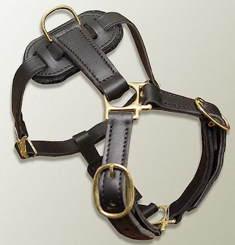 Luxury leather dog harness