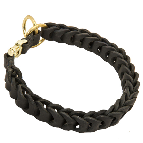 Halsband K9 Hunde