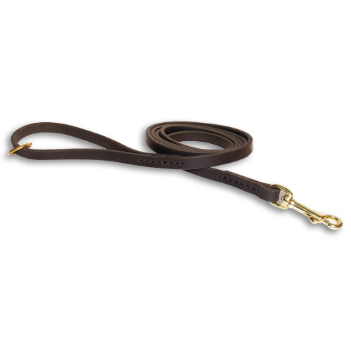 Leather dog leash