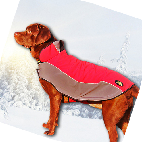 Labrador dog coat, dog winter coat, raincoat