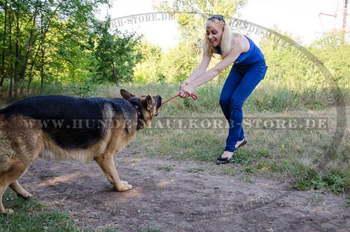 Spielzeug für Zugtraining des Schaeferhundes ❍