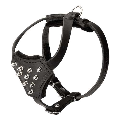 Leather harness for small-medium breeds, spiked model