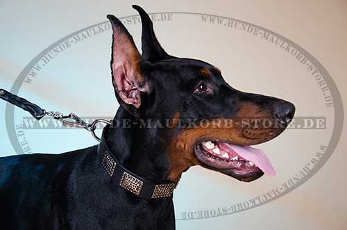Collar for Doberman, Leather Dog Collar with Relief Plates